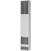 Williams Forsaire Haut-Vent contre-courant four 5008632 gaz naturel 50000 BTU