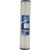 Aquaflo 26180 Cartridge de sédiments en polyester plissé, 20 GPM, 5 Micron