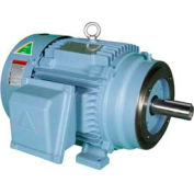 Hyundai PEM Motor HHI10-12-256TC, TEFC, Rigid-C, 3 PH, 256TC, 10 HP, 1200 RPM, 13.8 FLA