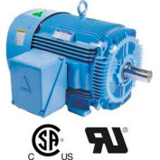 Hyundai PEM Motor HHI5-36-575-184T, TEFC, Rigid, 3 PH, 184T, 575V, 5 HP, 3600 RPM, 4.9 FLA