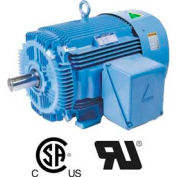 Hyundai PEM Motor HHI50-18-326T-F2, TEFC, Rigid, 3 PH, F2 Mt., 326T, 50 HP, 1800 RPM, 59.9 FLA