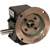 WorldWide Electric Corporation Cast Iron Right Angle Worm Gear Reducteur, 30:1 Ratio 56C Frame