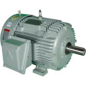Hyundai T-Frame Motor IEEE100-18-405T, TEFC, Rigid, 3 PH, 405T, 460V, 114.1 FLA, RB