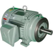Hyundai T-Frame Motor IEEE75-18-365TC, TEFC, Rigid-C, 3 PH, 365TC, 75 HP, 460V, 85.1 FLA