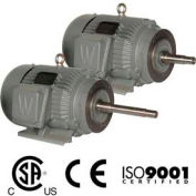 Dans le monde entier CC électrique pompe moteur PEWWE10-36-215JM, TEFC, rigide-C, 3 PH, 215JM, 10 HP, 3600 tr/min