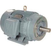 Worldwide Electric T-Frame Motor PEWWE25-18-284TC, GP, TEFC, Rigid-C, 3 PH, 284TC, 30.8 FLA