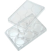 Celltreat® Individual 6 Well Tissue Culture Plate w/ Lid, Sterile, Pack of 100