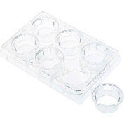 CELLTREAT® Permeable Cell Culture Inserts, Packed in 6 Well Plate, Hanging, PET, 3.0µm, Sterile