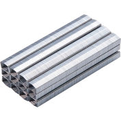 Bostitch B8® PowerCrown™ Premium Staples, 1/4 » Jambe (6mm), 1/2 » Couronne, 5000/Pack