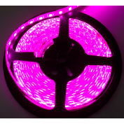 Race Sport 9'/3M 3528 LED Strip, Violet