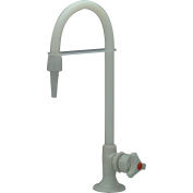 Zurn Z82900-WM - mur monté seul laboratoire robinet pour l’eau Dw/Di/Ro