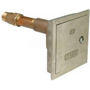 Zurn Z1300-3/4X12 Automatic Draining Wall Hydrant, Encased Ecolotrol, Anti-Siphon, 3/4" x 12"
