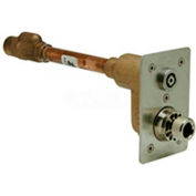 Zurn Z1321XL-3/4X16-PB Automatic Draining Wall Hydrant, Exposed Ecolotrol, Anti-Siphon, 3/4" x 16"