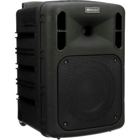 Systèmes de sonorisation portatives d’All-In-One