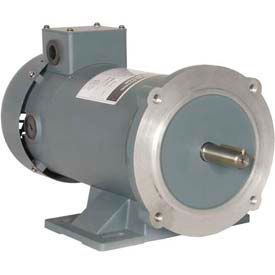 WWE permanent Magnet DC Motors, TENV & TEFC