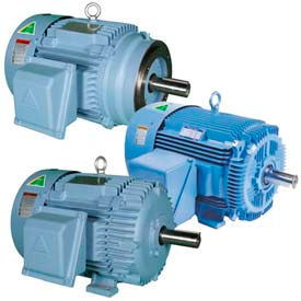Hyundai Premium Motor, 3-Ph, TEFC
