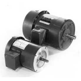 Marathon Metric, 3-Ph, TEFC, C-Face Footless