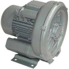 Regenerative Blowers
