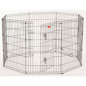 Lucky Dog chien exercice stylos