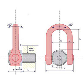 Double émerillon manilles