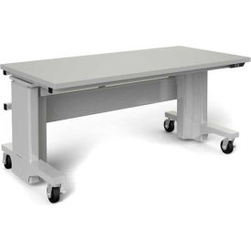 Bancs de travail de laboratoire réglables ergonomiques mobiles