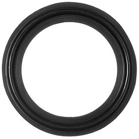 Oil-Resistant Clean Room Buna-N Gaskets for Quick-Clamp Tube Fittings