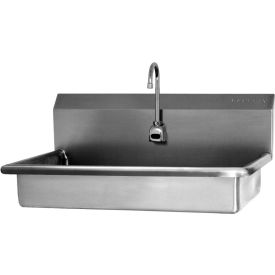 Stations de lavage conformes Sani-Lav® ADA