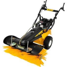Snow Sweepers