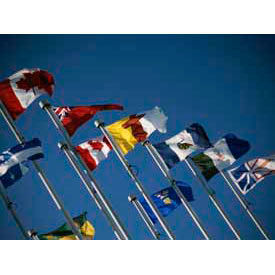 Annin® - drapeaux des Provinces et territoires canadiens