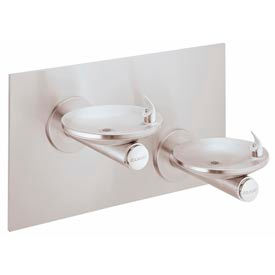 Round Basin ADA Drinking Fountains With Back Panel