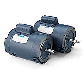 Leeson Pool Motor, CI, C-Face, 1-Ph, DP