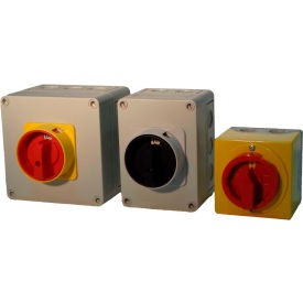 Springer- MERZ Enclosed Disconnect Switches