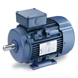 Leeson Metric(IEC), B3 Footed Motors