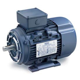 Leeson Metric Motors- B3/B14 Face-Mounted