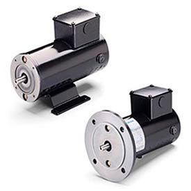 Leeson DC Motors, cadre métrique, IP54