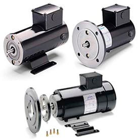 Leeson DC Motors, cadre métrique, IP54, Low Volt