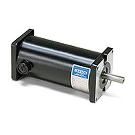 Leeson DC Motors, Sub-FHP, basse tension