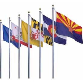 Annin® - US State & Territorial Flags