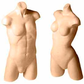 Formes de torse de fibre de verre