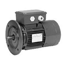 Moteurs américains Brake Motors