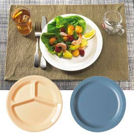 Cambro Camwear® Polycarbonate Dinnerware Plates