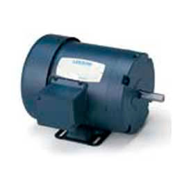 Leeson 50 Hz Motors, 3-Ph, TEFC
