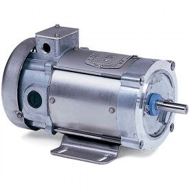 -Reliance DC Washdown Motors