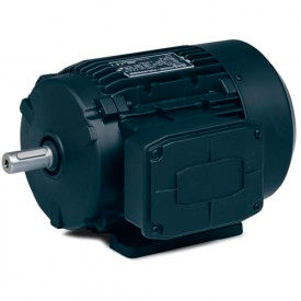 Baldor 3-Ph Metric Motors