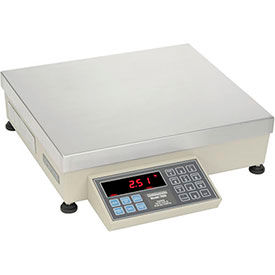 Pennsylvania Series 7600 Heavy Duty Counting Scales