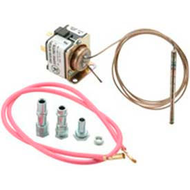 Mercury Flame Sensors