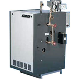 Slant-Fin Steam Gas Boiler GXHA100EDPZ - 100000 BTU