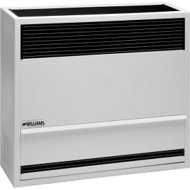 Williams Direct-Vent Gravity Furnace 3003821 Propane 30000 BTU