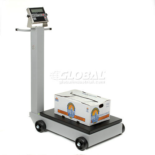 Detecto 854F100P Portable Mechanical Platform Scale-1,000-lb Capacity