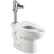 American Standard 3461001.020 Madera ADA : WC allongé avec système Everclean, 1,1-1,6 GFP